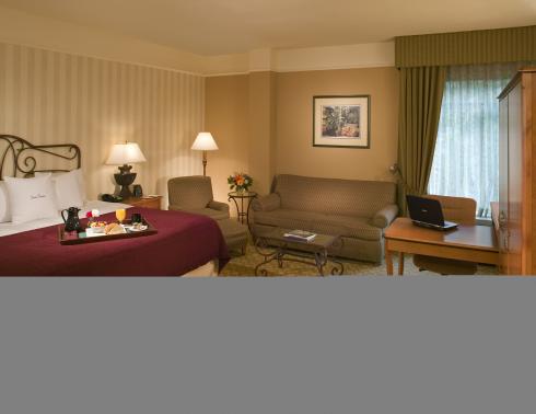 Doubletree Hotel Atlanta-Buckhead  