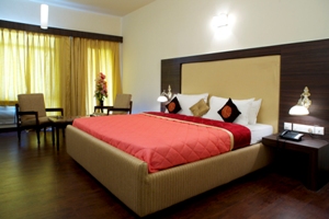 Hotel Mandakini Jaya International  