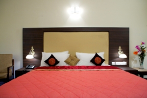 Hotel Mandakini Jaya International  